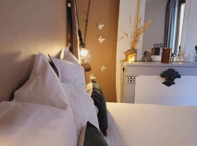 Apartament -parking Prive -la Batisse -coeur Historique - La Clef De *