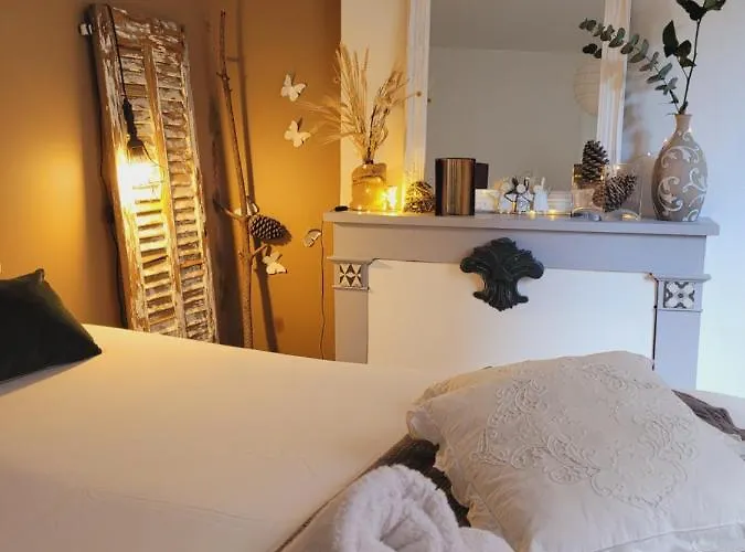 Apartament -parking Prive -la Batisse -coeur Historique - La Clef De