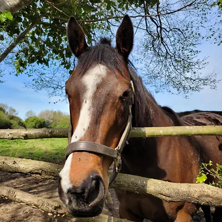 -la Batisse -parking Privé -coeur Historique - La Clef De *