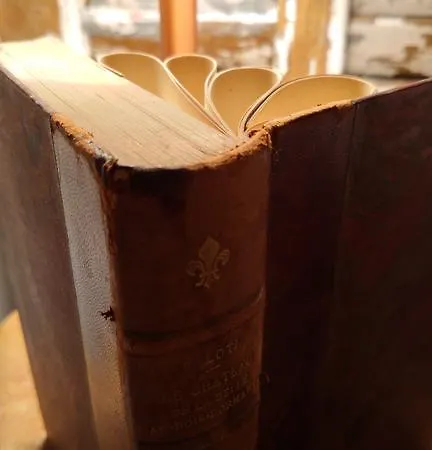 Appartement -la Batisse -parking Privé -coeur Historique - La Clef De *