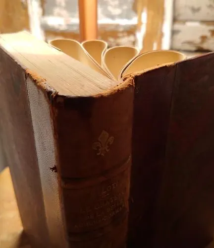 Lejlighed -parking Prive -la Batisse -coeur Historique - La Clef De *